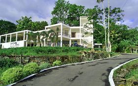 Akoya Pearl